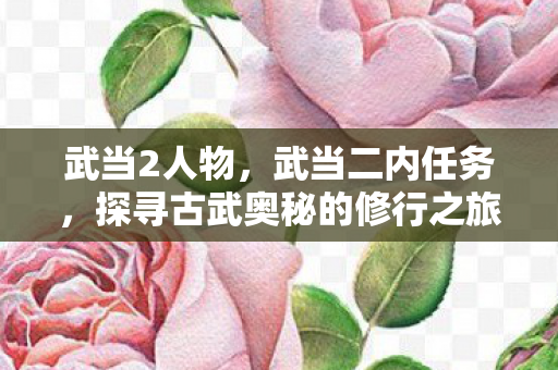 武当2人物，武当二内任务，探寻古武奥秘的修行之旅