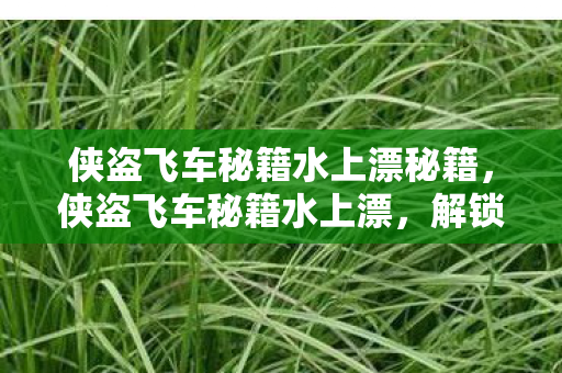 侠盗飞车秘籍水上漂秘籍，侠盗飞车秘籍水上漂，解锁水上漂的终极技巧