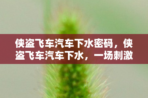 侠盗飞车汽车下水密码，侠盗飞车汽车下水，一场刺激的水上冒险