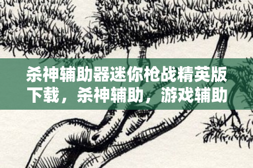 杀神辅助器迷你枪战精英版下载，杀神辅助，游戏辅助工具的正确使用与注意事项