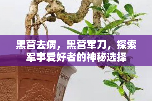 黑营去病，黑营军刀，探索军事爱好者的神秘选择