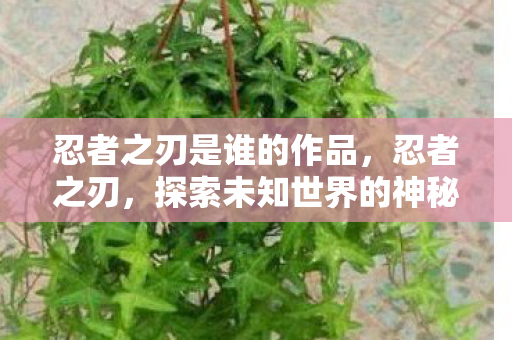 忍者之刃是谁的作品，忍者之刃，探索未知世界的神秘之旅