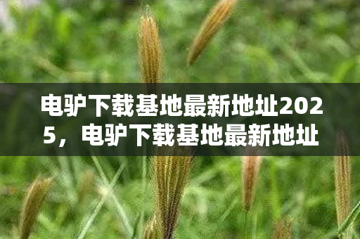 电驴下载基地最新地址2025，电驴下载基地最新地址，探索数字世界的无尽宝藏