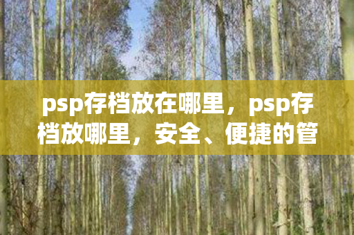 psp存档放在哪里，psp存档放哪里，安全、便捷的管理指南