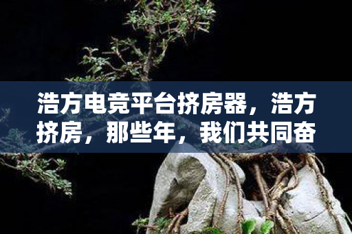 浩方电竞平台挤房器，浩方挤房，那些年，我们共同奋斗过的战场