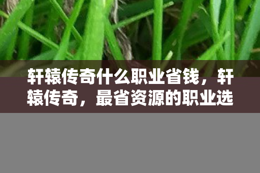 轩辕传奇什么职业省钱，轩辕传奇，最省资源的职业选择指南