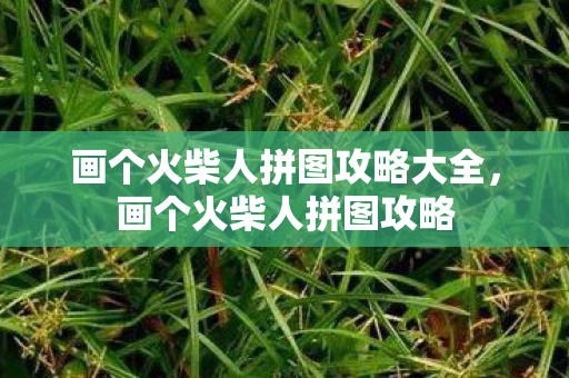 画个火柴人拼图攻略大全，画个火柴人拼图攻略