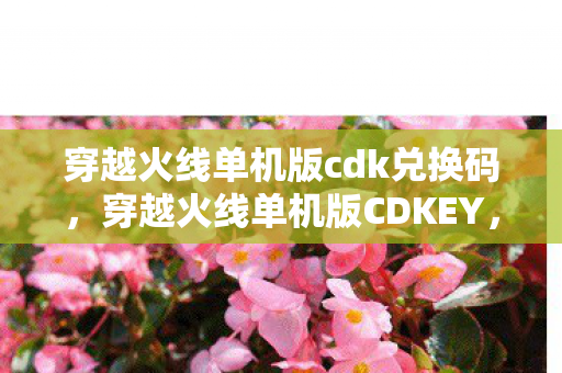 穿越火线单机版cdk兑换码，穿越火线单机版CDKEY，解锁无限可能的钥匙