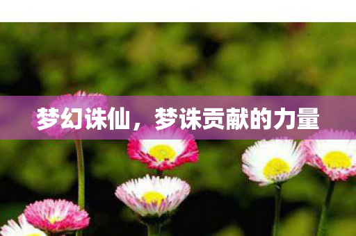 梦幻诛仙，梦诛贡献的力量