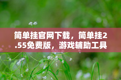 简单挂官网下载,简单挂2.55免费版,游戏辅助工具的新选择 简单挂官网下载,简单挂2.55免费版,游戏辅助工具的新选择