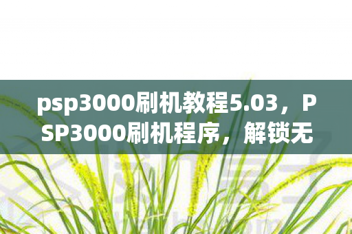 psp3000刷机教程5.03,PSP3000刷机程序,解锁无限可能的娱乐神器 psp3000刷机教程5.03,PSP3000刷机程序,解锁无限可能的娱乐神器