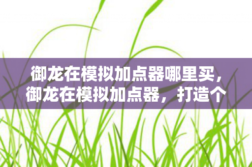 御龙在模拟加点器哪里买，御龙在模拟加点器，打造个性化角色，提升游戏体验
