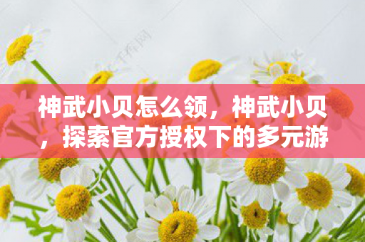 神武小贝怎么领，神武小贝，探索官方授权下的多元游戏体验