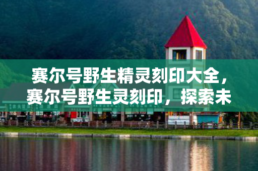 赛尔号野生精灵刻印大全，赛尔号野生灵刻印，探索未知世界的神秘力量