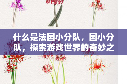 什么是法国小分队，国小分队，探索游戏世界的奇妙之旅