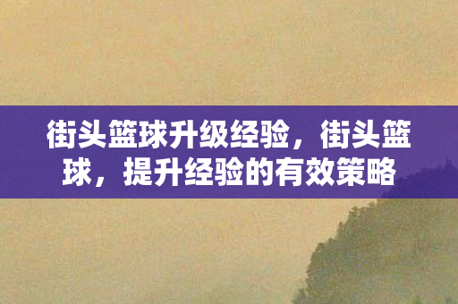 街头篮球升级经验，街头篮球，提升经验的有效策略
