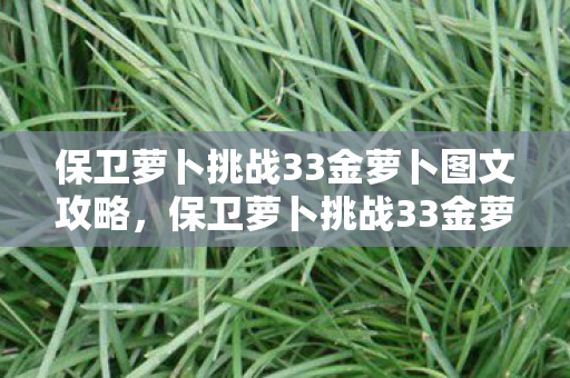 保卫萝卜挑战33金萝卜图文攻略，保卫萝卜挑战33金萝卜攻略