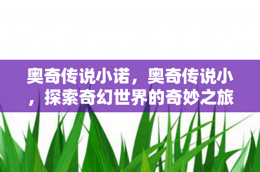 奥奇传说小诺，奥奇传说小，探索奇幻世界的奇妙之旅