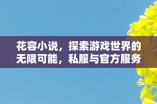 花容小说，探索游戏世界的无限可能，私服与官方服务器的独特魅力