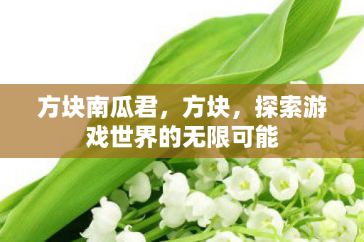 方块南瓜君，方块，探索游戏世界的无限可能