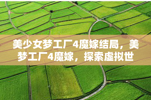 美少女梦工厂4魔嫁结局，美梦工厂4魔嫁，探索虚拟世界的奇幻之旅