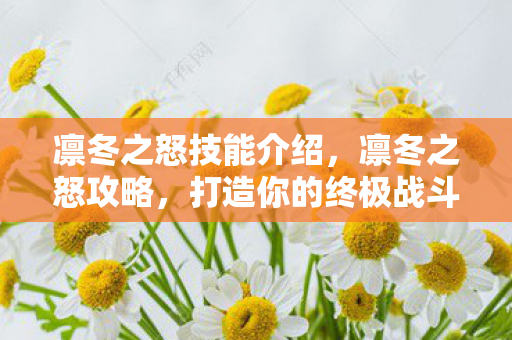 凛冬之怒技能介绍，凛冬之怒攻略，打造你的终极战斗策略