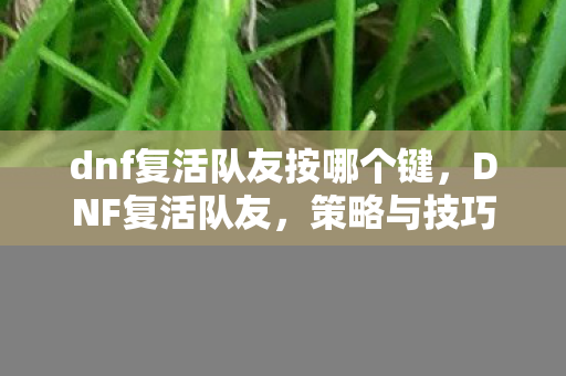 dnf复活队友按哪个键，DNF复活队友，策略与技巧的深度剖析