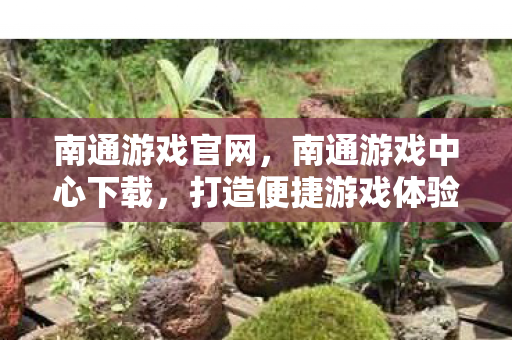 南通游戏官网，南通游戏中心下载，打造便捷游戏体验的优选平台