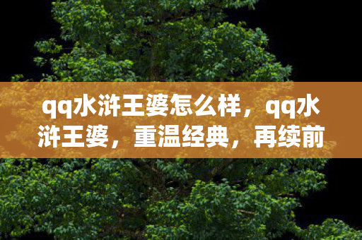 qq水浒王婆怎么样，qq水浒王婆，重温经典，再续前缘