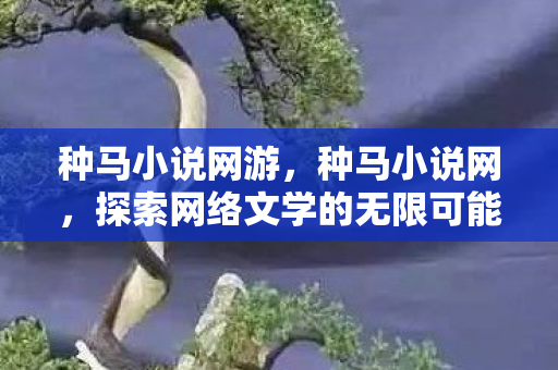种马小说网游，种马小说网，探索网络文学的无限可能