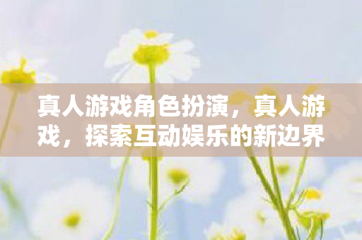 真人游戏角色扮演，真人游戏，探索互动娱乐的新边界