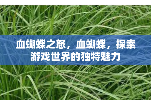 血蝴蝶之怒，血蝴蝶，探索游戏世界的独特魅力