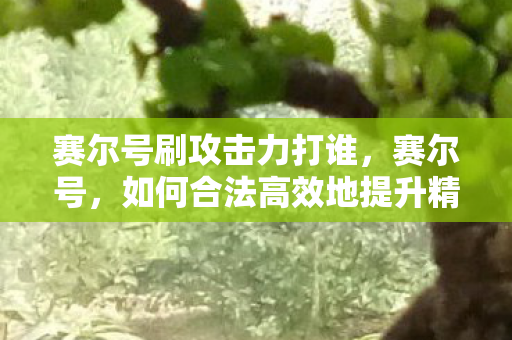 赛尔号刷攻击力打谁，赛尔号，如何合法高效地提升精灵攻击