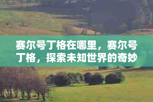 赛尔号丁格在哪里，赛尔号丁格，探索未知世界的奇妙冒险