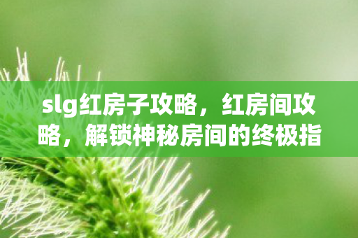 slg红房子攻略，红房间攻略，解锁神秘房间的终极指南