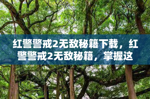 红警警戒2无敌秘籍下载，红警警戒2无敌秘籍，掌握这些技巧，轻松称霸战场