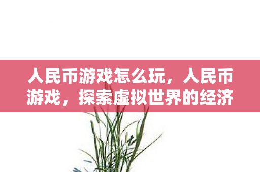 人民币游戏怎么玩，人民币游戏，探索虚拟世界的经济奇迹