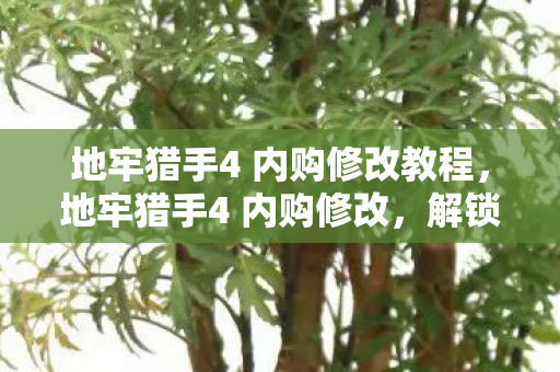 地牢猎手4 内购修改教程，地牢猎手4 内购修改，解锁无限可能的技巧与策略