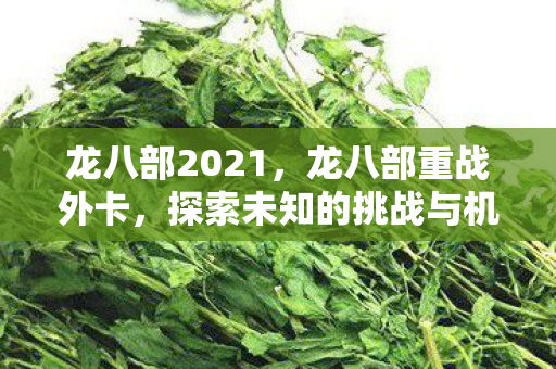 龙八部2021,龙八部重战外卡,探索未知的挑战与机遇 龙八部2021,龙八部重战外卡,探索未知的挑战与机遇