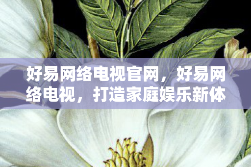 好易网络电视官网，好易网络电视，打造家庭娱乐新体验