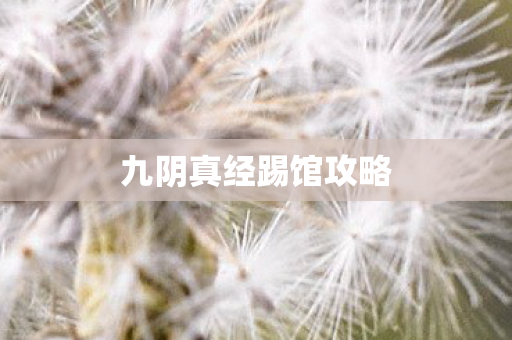 九阴真经踢馆攻略