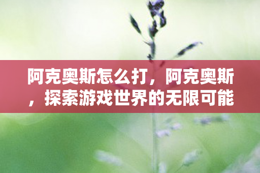 阿克奥斯怎么打，阿克奥斯，探索游戏世界的无限可能