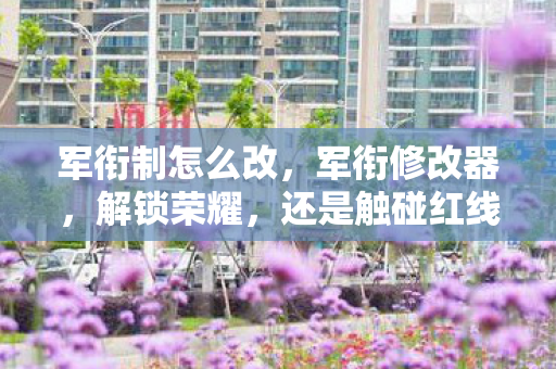 军衔制怎么改，军衔修改器，解锁荣耀，还是触碰红线？