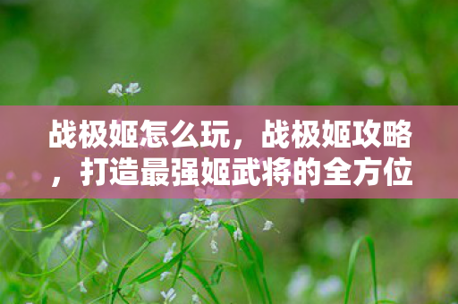 战极姬怎么玩，战极姬攻略，打造最强姬武将的全方位指南