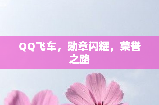 QQ飞车，勋章闪耀，荣誉之路