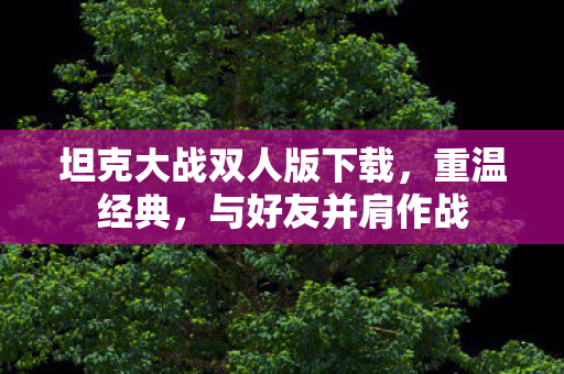 坦克大战双人版下载，重温经典，与好友并肩作战