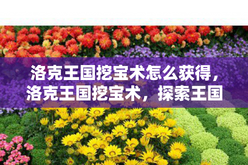 洛克王国挖宝术怎么获得，洛克王国挖宝术，探索王国宝藏的奇妙之旅