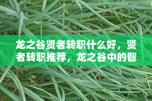 龙之谷贤者转职什么好，贤者转职推荐，龙之谷中的智慧与力量