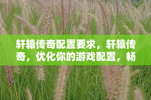 轩辕传奇配置要求，轩辕传奇，优化你的游戏配置，畅享极致体验