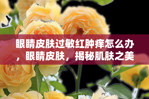 眼睛皮肤过敏红肿痒怎么办，眼睛皮肤，揭秘肌肤之美的奥秘